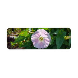 Zonovergoten achtergrond etiket