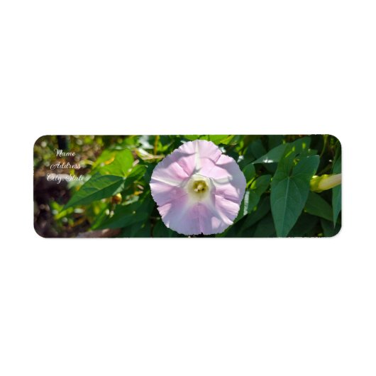 Zonovergoten achtergrond etiket (Voorkant)