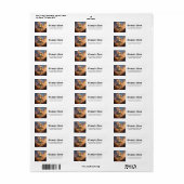 Zonovergoten Bewaker – Woestijnreliekkonijn. Etiket (Full Sheet)