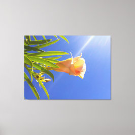 Zonovergoten Bloesem Onder een Diepblauwe Lucht Canvas Afdruk