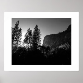 Zonovergoten Bomen Yosemite Zwart-wit Fotografie Poster