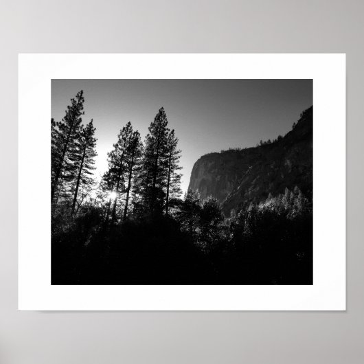 Zonovergoten Bomen Yosemite Zwart-wit Fotografie Poster (Voorkant)