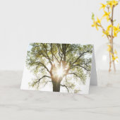 Zonovergoten Boom Kaart (Gele Bloem)