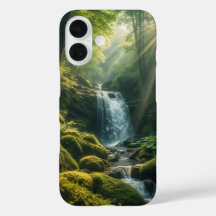 Zonovergoten bos Herfsten