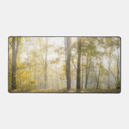 Zonovergoten bos, moderne natuurfoto bureaumat
