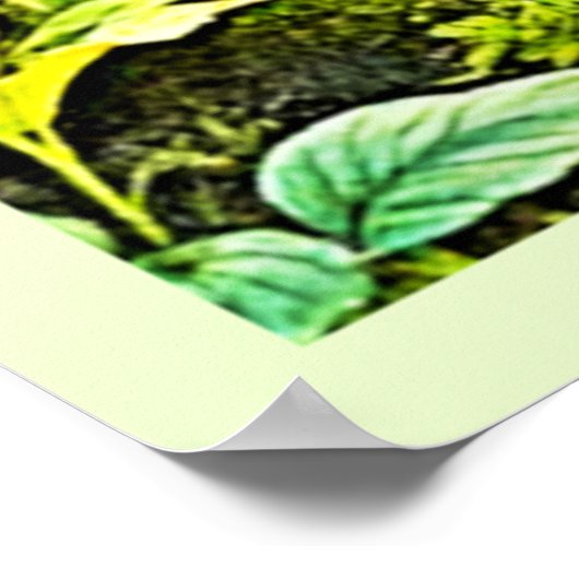 zonovergoten boslandschap poster (Hoek)