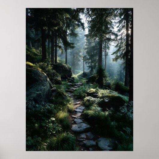 Zonovergoten bospad door oude pijnbomen poster (Voorkant)