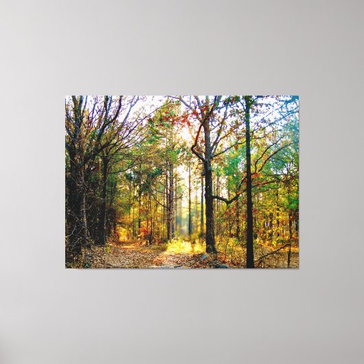 Zonovergoten Bospad in de Herfst Canvas Afdruk (Voorkant)