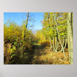 Zonovergoten Bossen in de herfst - gepersonaliseer Poster