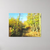 Zonovergoten Bossen in het najaar - Canvas Afdruk (Voorkant)