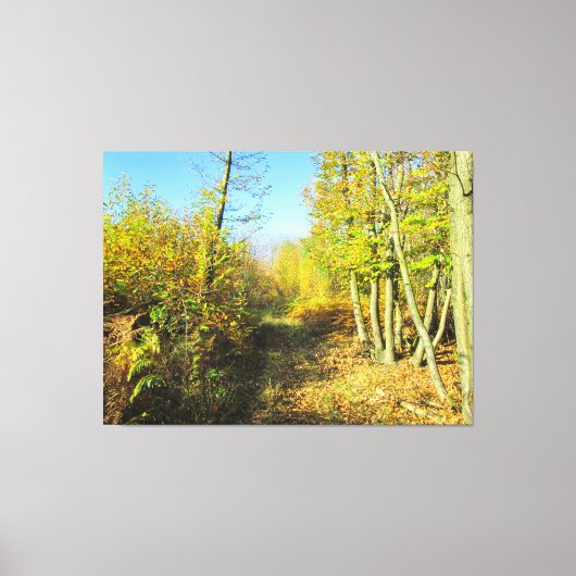 Zonovergoten Bossen in het najaar - Canvas Afdruk (Voorkant)