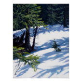 Zonovergoten Colorado Berg Sneeuw Scene Poster (Voorkant)