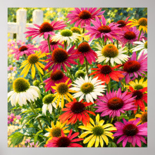 Zonovergoten Echinacea Tuin Impressionistische Bot Poster
