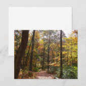 Zonovergoten Fall Trail in Laurel Hill State Park (Voorkant / Achterkant)