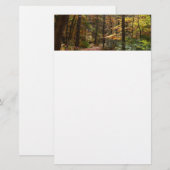 Zonovergoten Fall Trail in Laurel Hill State Park Briefpapier (Voorkant / Achterkant)