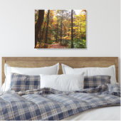 Zonovergoten Fall Trail in Laurel Hill State Park Canvas Afdruk (Insitu (Slaapkamer))