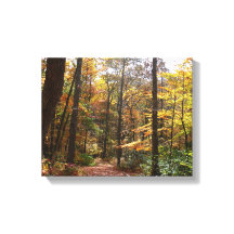 Zonovergoten Fall Trail in Laurel Hill State Park