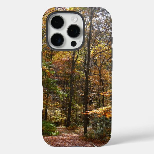 Zonovergoten Fall Trail in Laurel Hill State Park Case-Mate iPhone Case (Achterkant)