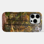 Zonovergoten Fall Trail in Laurel Hill State Park Case-Mate iPhone Case (Achterkant (horizontaal))