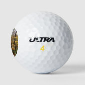 Zonovergoten Fall Trail in Laurel Hill State Park Golfballen (Logo)