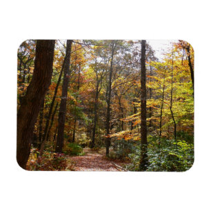 Zonovergoten Fall Trail in Laurel Hill State Park Magneet