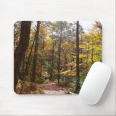 Zonovergoten Fall Trail in Laurel Hill State Park Muismat (Met muis)