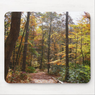 Zonovergoten Fall Trail in Laurel Hill State Park Muismat