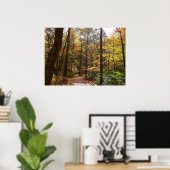 Zonovergoten Fall Trail in Laurel Hill State Park Poster (Thuiskantoor)