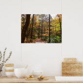 Zonovergoten Fall Trail in Laurel Hill State Park Poster (Keuken)