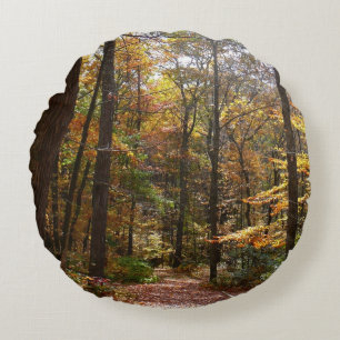 Zonovergoten Fall Trail in Laurel Hill State Park Rond Kussen