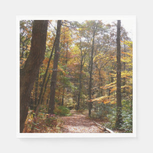 Zonovergoten Fall Trail in Laurel Hill State Park Servetten