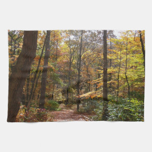 Zonovergoten Fall Trail in Laurel Hill State Park Theedoek