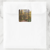 Zonovergoten Fall Trail in Laurel Hill State Park Vierkante Sticker (Tas)