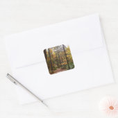 Zonovergoten Fall Trail in Laurel Hill State Park Vierkante Sticker (Envelop)