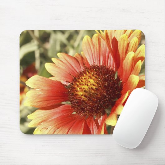 Zonovergoten Gaillardia Muismat (Met muis)