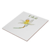 Zonovergoten gele Daffodil botanische waterverf Tegeltje (Zijkant)