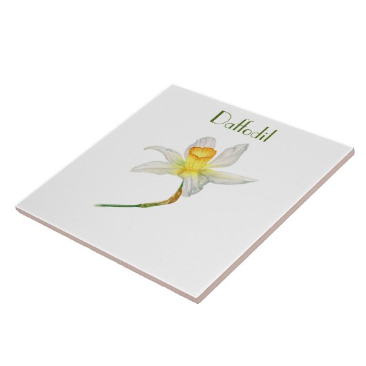 Zonovergoten gele Daffodil botanische waterverf Tegeltje (Zijkant)