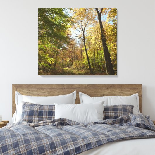 Zonovergoten Herfst Forest II herfstlandschapsfoto Canvas Afdruk (Insitu (Slaapkamer))