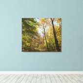 Zonovergoten Herfst Forest II herfstlandschapsfoto Canvas Afdruk (Insitu (Houten vloer))