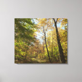 Zonovergoten Herfst Forest II herfstlandschapsfoto Canvas Afdruk (Voorkant)