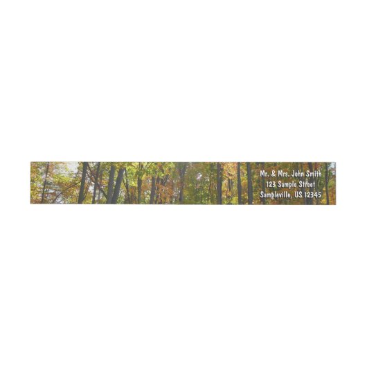 Zonovergoten herfstbos herfstlandschap (Individueel)