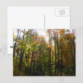 Zonovergoten herfstbos herfstlandschap briefkaart (Voorkant / Achterkant)