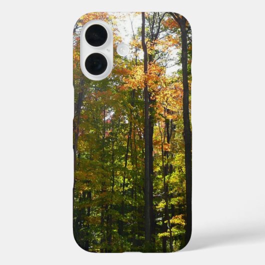 Zonovergoten herfstbos herfstlandschap Case-Mate iPhone case (Achterkant)