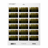 Zonovergoten herfstbos herfstlandschap etiket (Full Sheet)
