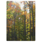 Zonovergoten herfstbos herfstlandschap klembord (Achterkant)