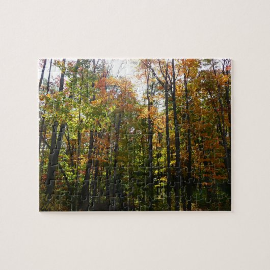Zonovergoten herfstbos herfstlandschap legpuzzel (Horizontaal)