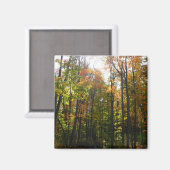 Zonovergoten herfstbos herfstlandschap magneet (Voorkant / Achterkant)