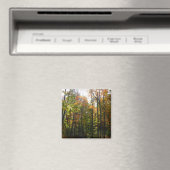 Zonovergoten herfstbos herfstlandschap magneet (Insitu (Vaatwasser))