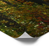 Zonovergoten herfstbos herfstlandschap poster (Hoek)