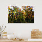 Zonovergoten herfstbos herfstlandschap poster (Keuken)